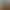Холоп 3