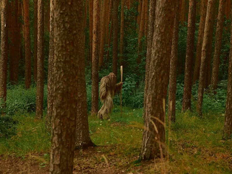 кадр