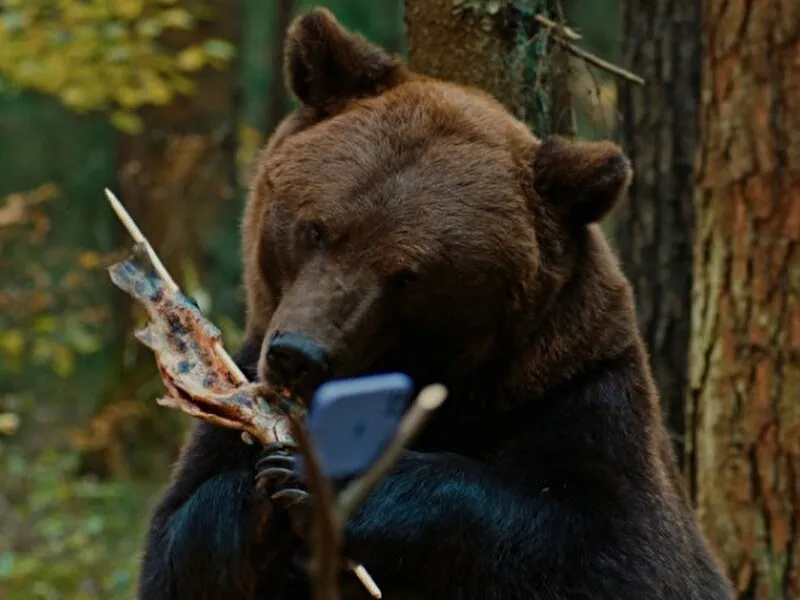 кадр