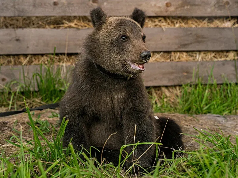 кадр