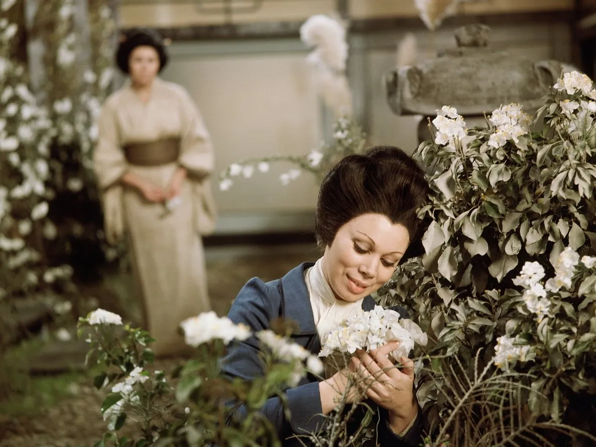 Жан-Пьер Поннель: Мадам Баттерфляй