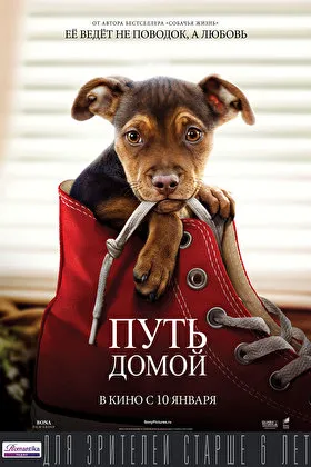 Постер фильма
